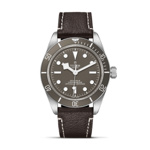 TUDOR Black Bay 58 925 M79010SG-0001