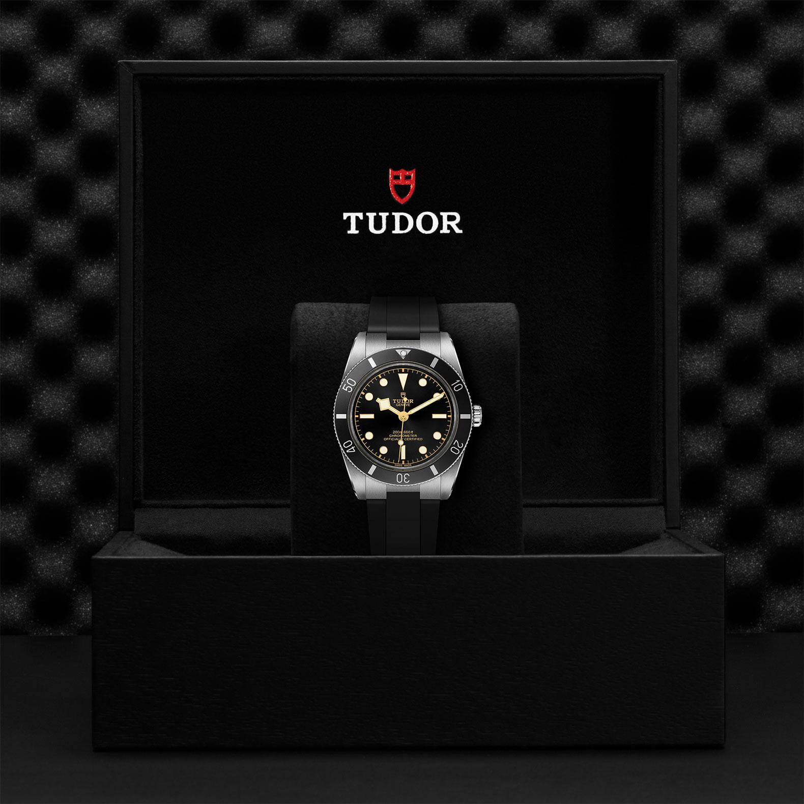 M79000N 0002 Tudor Watch Carousel 4 4 10 2023 1