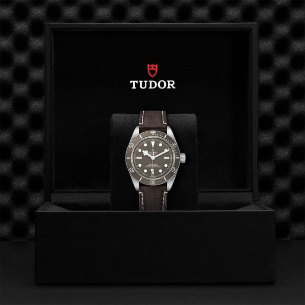 M79010SG 0001 tudor watch carousel 4 4 10 2023 1