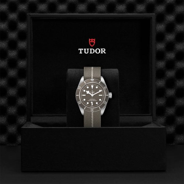 M79010SG 0002 tudor watch carousel 4 4 10 2023 1