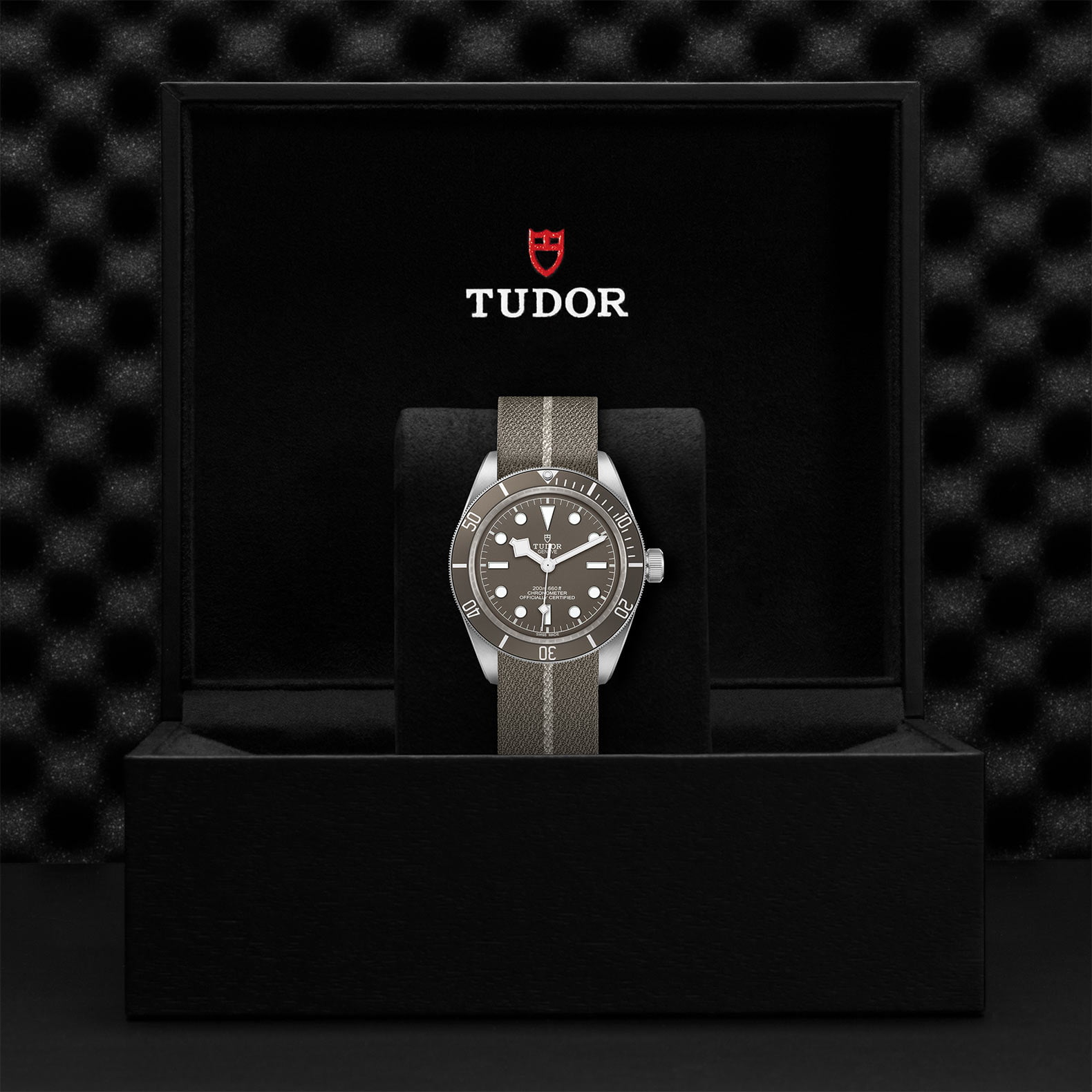 M79010Sg 0002 Tudor Watch Carousel 4 4 10 2023 1