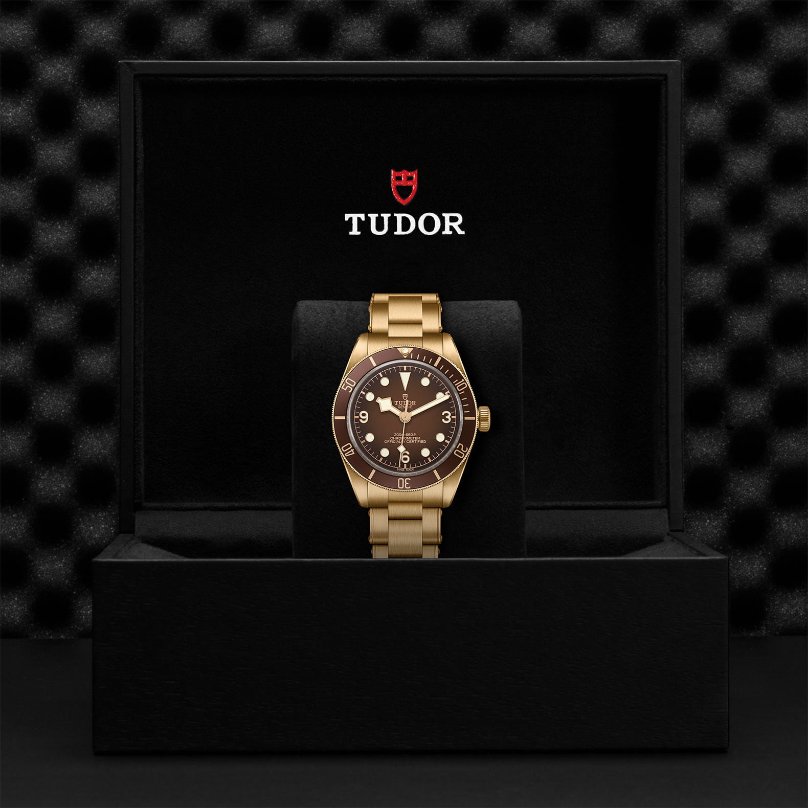 M79012M 0001 Tudor Watch Carousel 4 4 10 2023 1