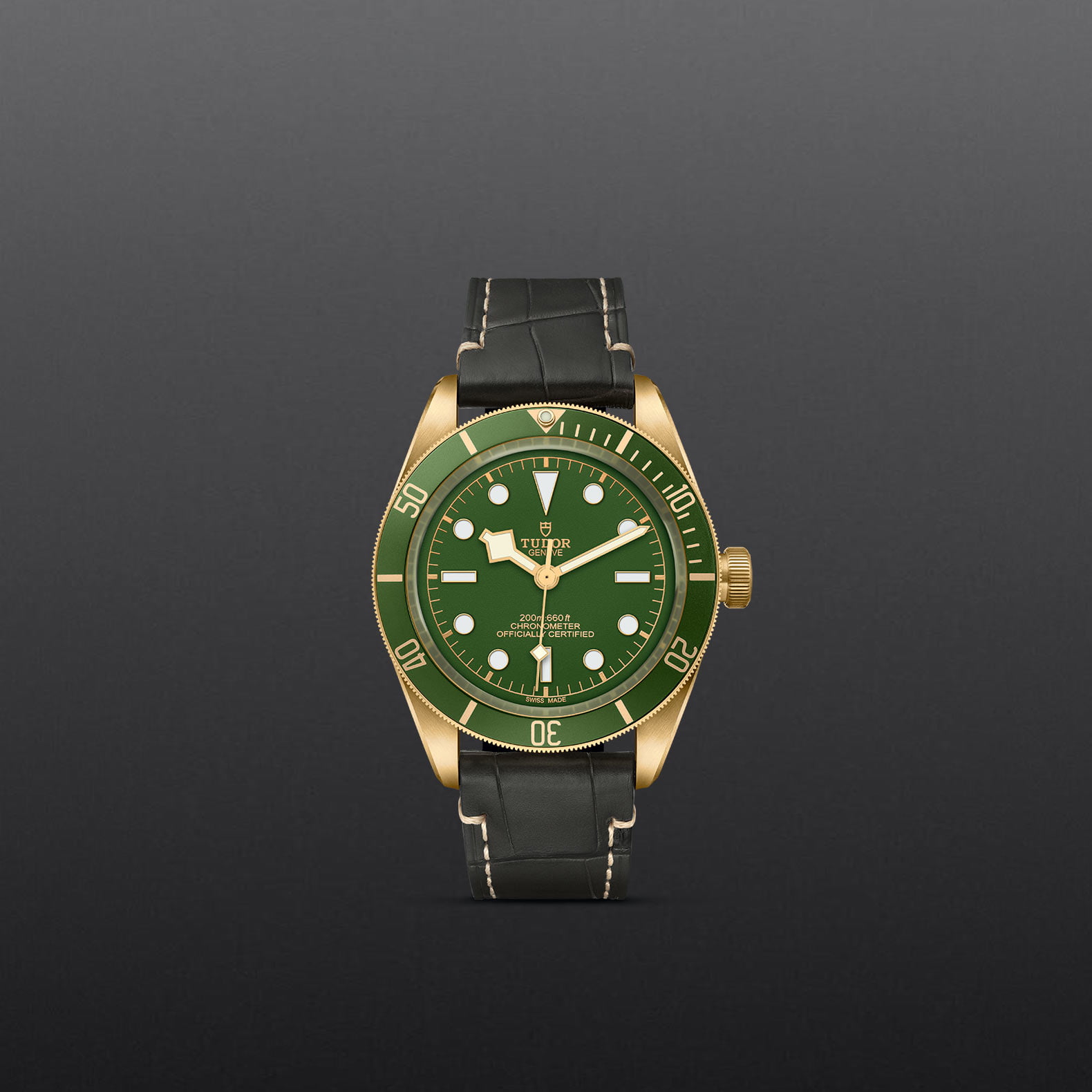 M79018V 0001 Tudor Watch Carousel 1 4 10 2023 1