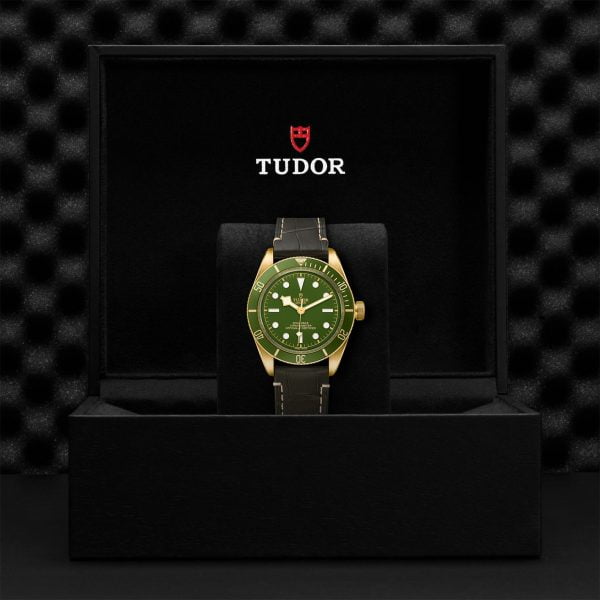 M79018V 0001 tudor watch carousel 4 4 10 2023 1