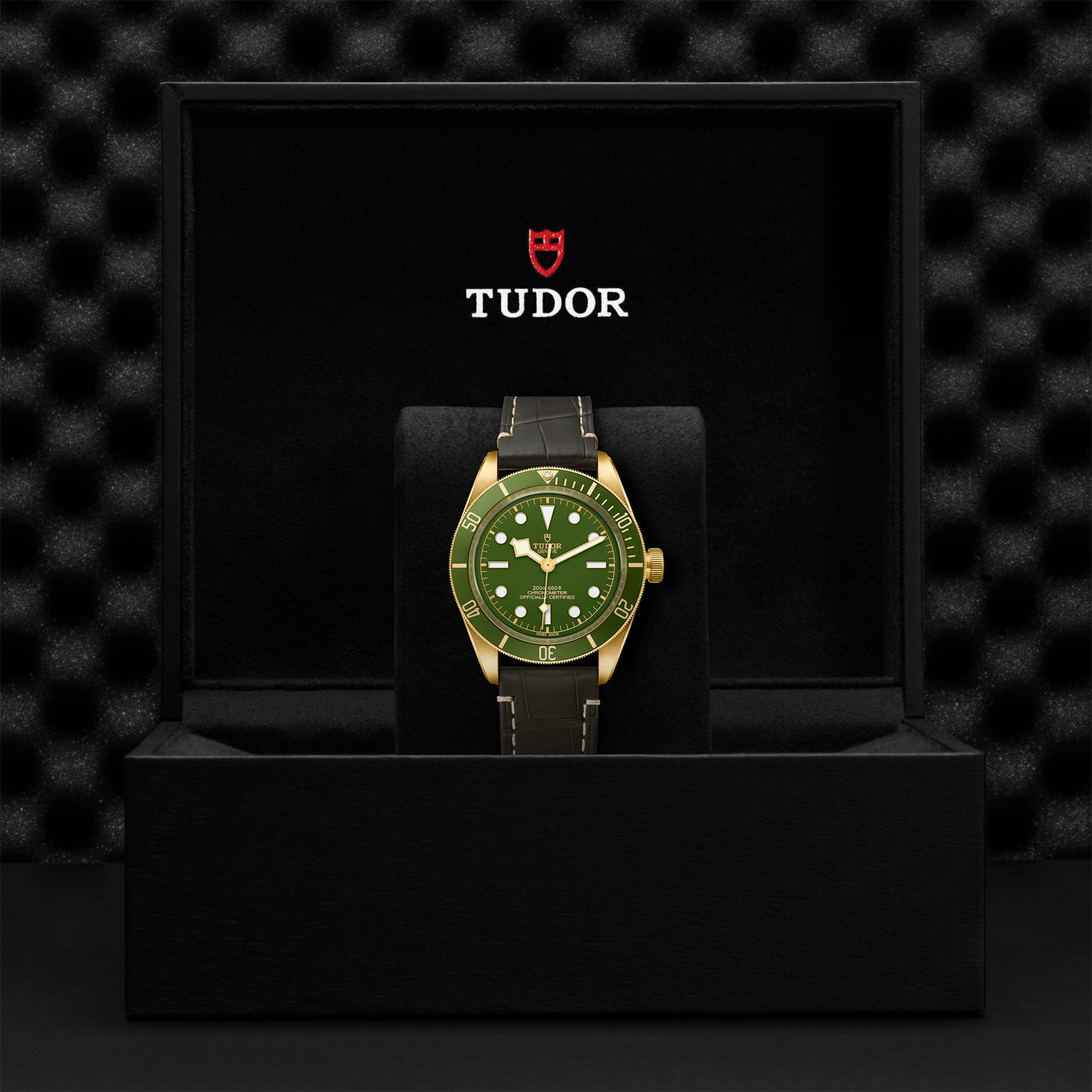 M79018V 0001 Tudor Watch Carousel 4 4 10 2023 1