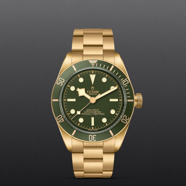 M79018V 0006 tudor watch carousel 1 4 10 2023