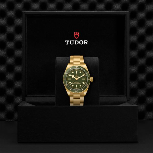 M79018V 0006 tudor watch carousel 4 4 10 2023