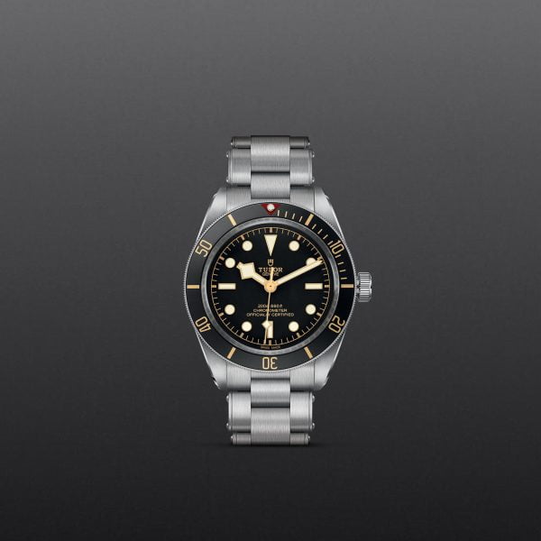 M79030N 0001 tudor watch carousel 1 4 10 2023 1