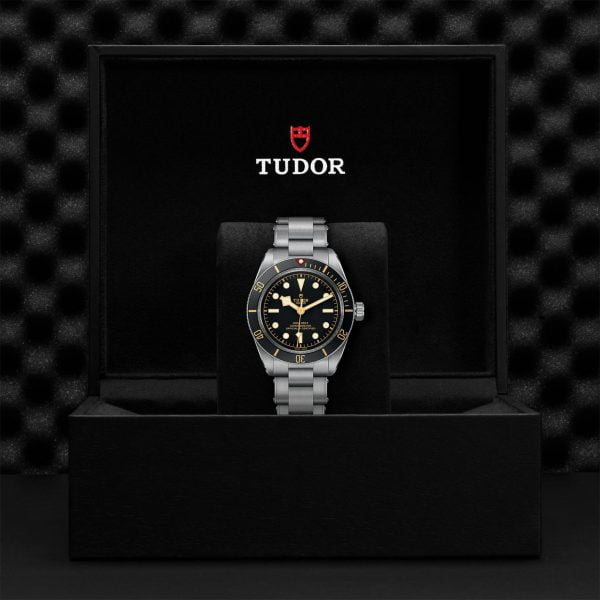 M79030N 0001 tudor watch carousel 4 4 10 2023 1