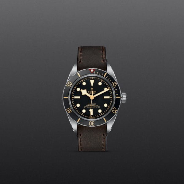 M79030N 0002 tudor watch carousel 1 4 10 2023 1