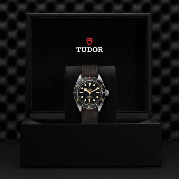 M79030N 0002 tudor watch carousel 4 4 10 2023 1