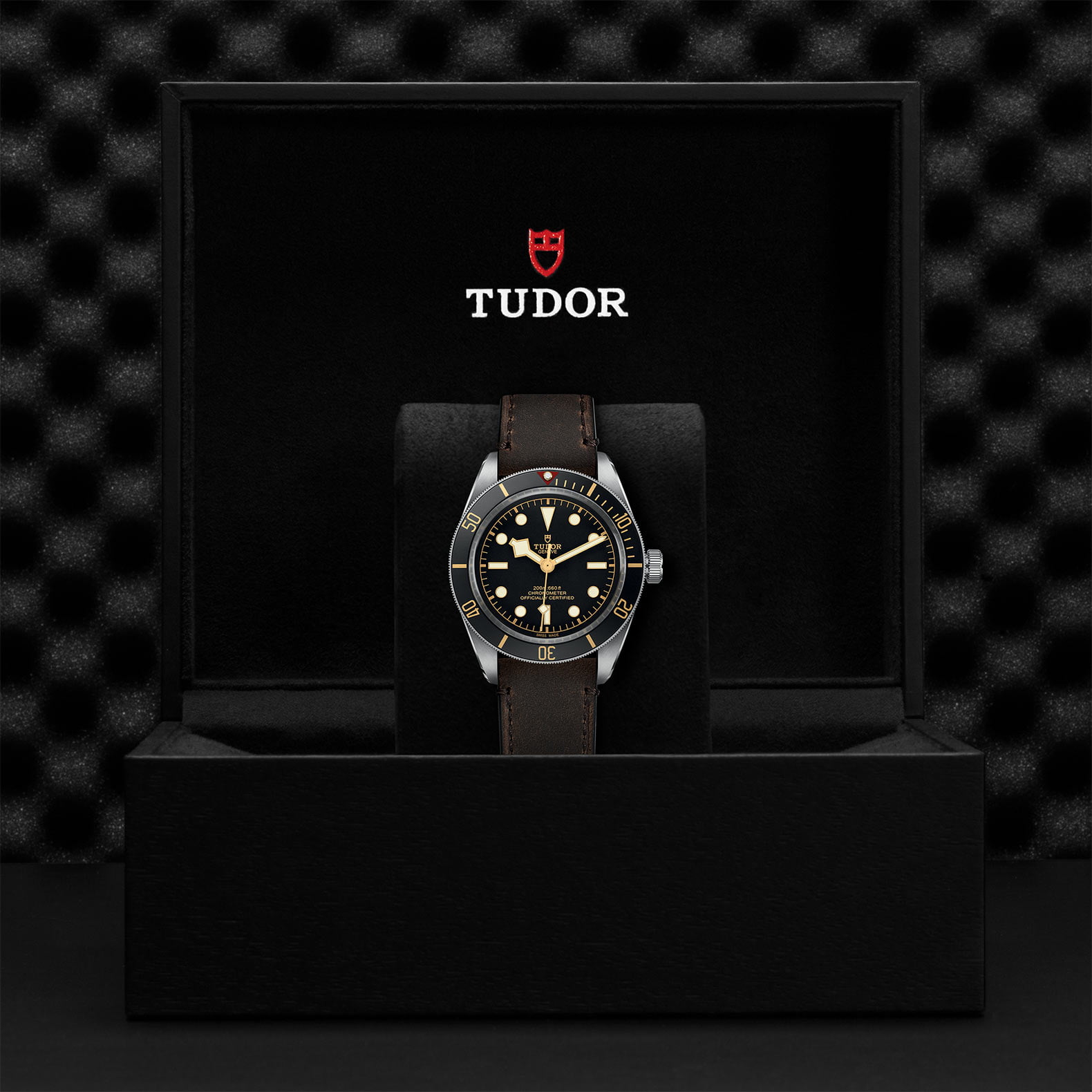 M79030N 0002 Tudor Watch Carousel 4 4 10 2023 1