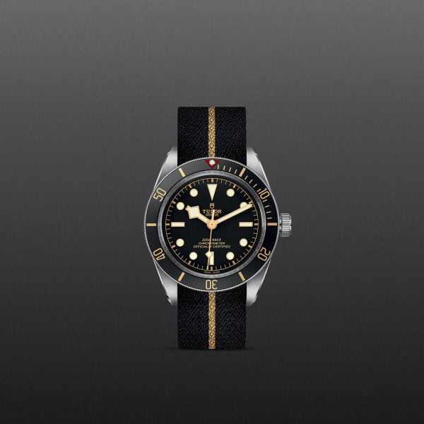 M79030N 0003 tudor watch carousel 1 4 10 2023 1