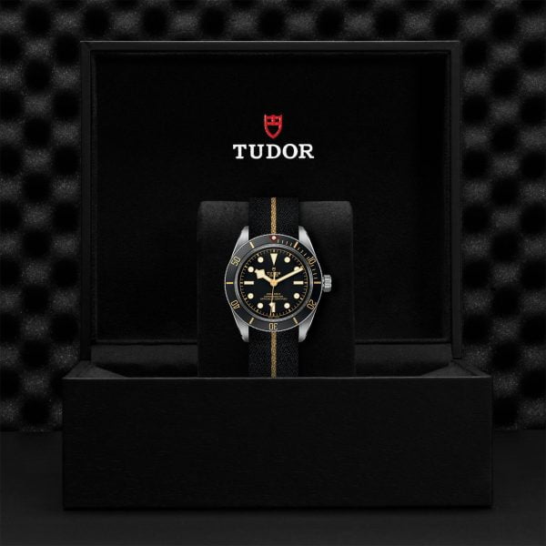 M79030N 0003 tudor watch carousel 4 4 10 2023 1