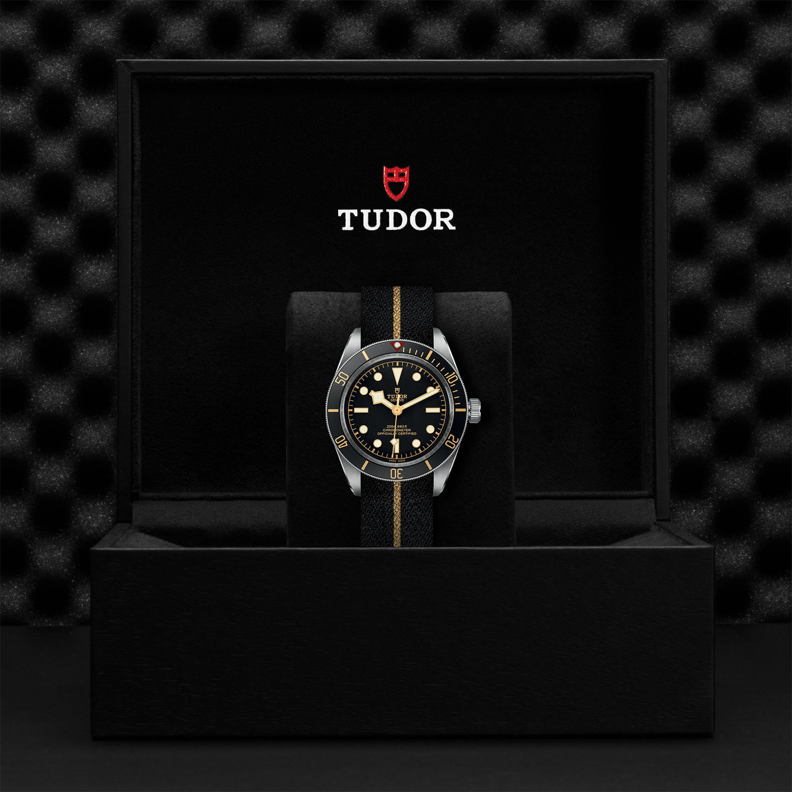 M79030N 0003 Tudor Watch Carousel 4 4 10 2023 1