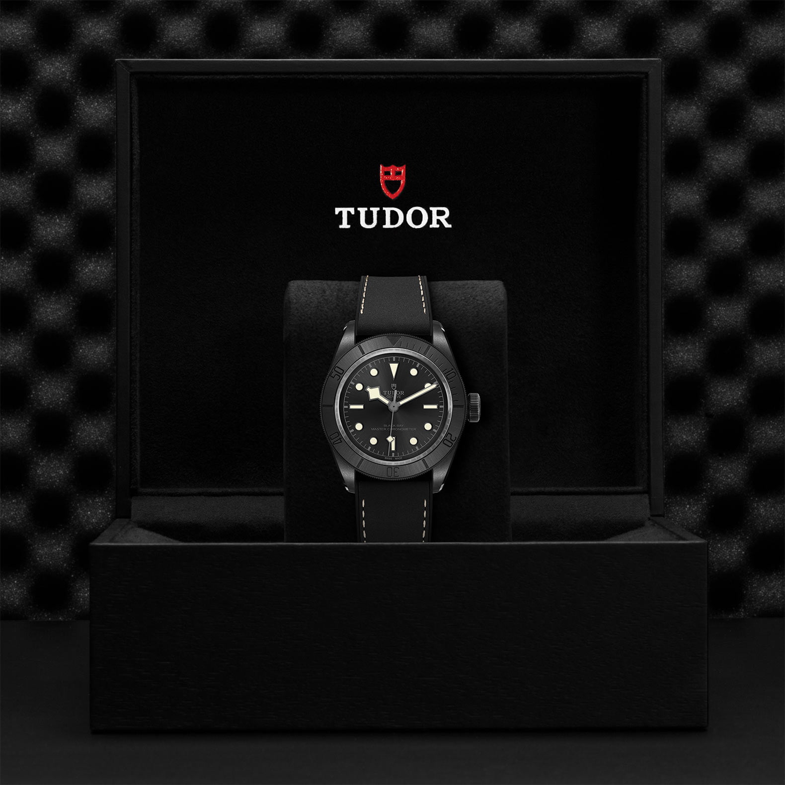 M79210Cnu 0001 Tudor Watch Carousel 4 4 10 2023 1