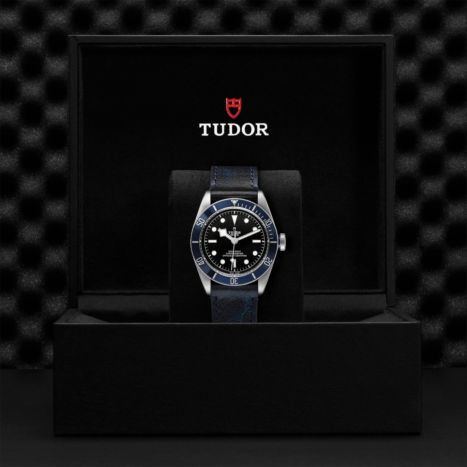 M79230B 0007 Tudor Watch Carousel 4 4 10 2023 1