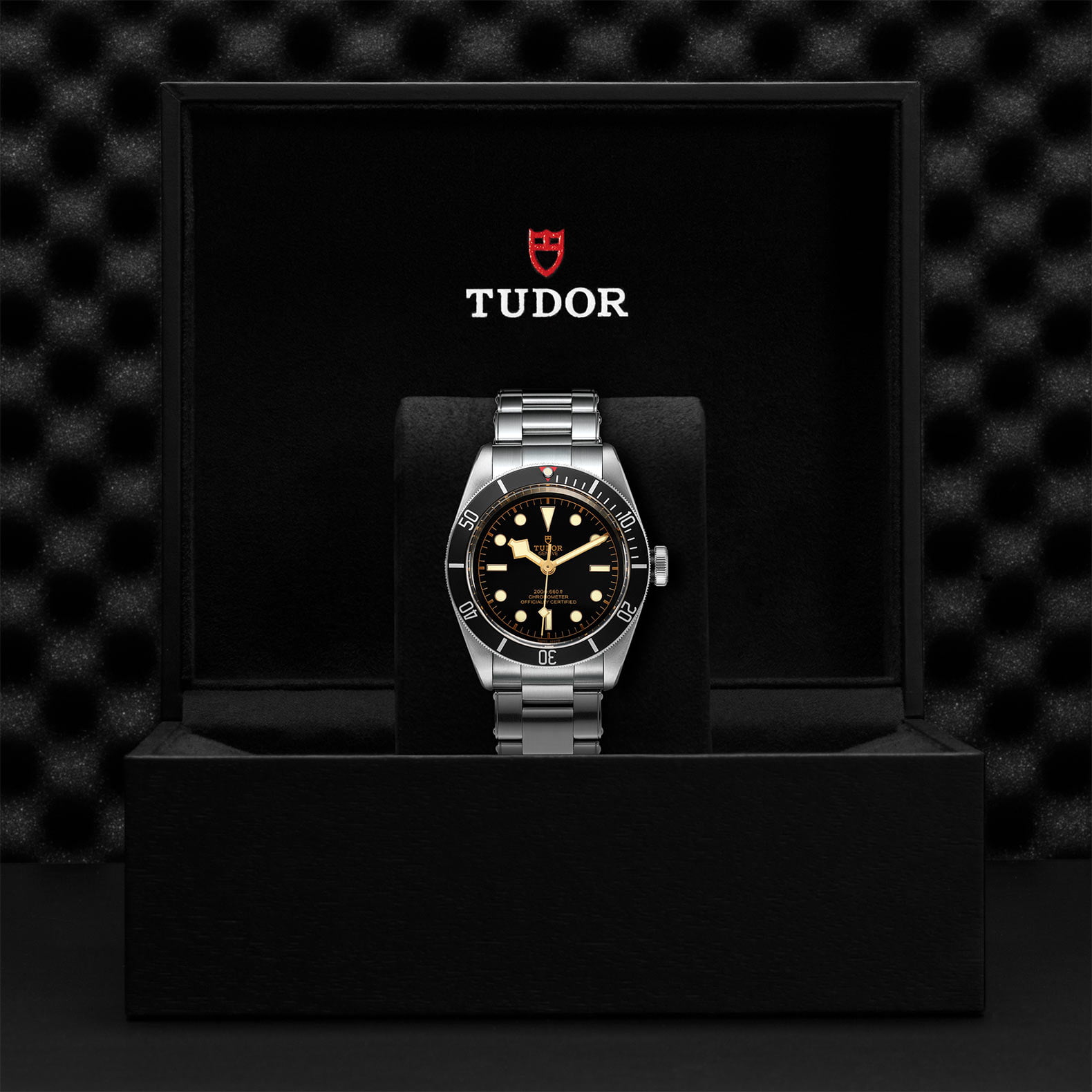M79230N 0009 Tudor Watch Carousel 4 4 10 2023 1