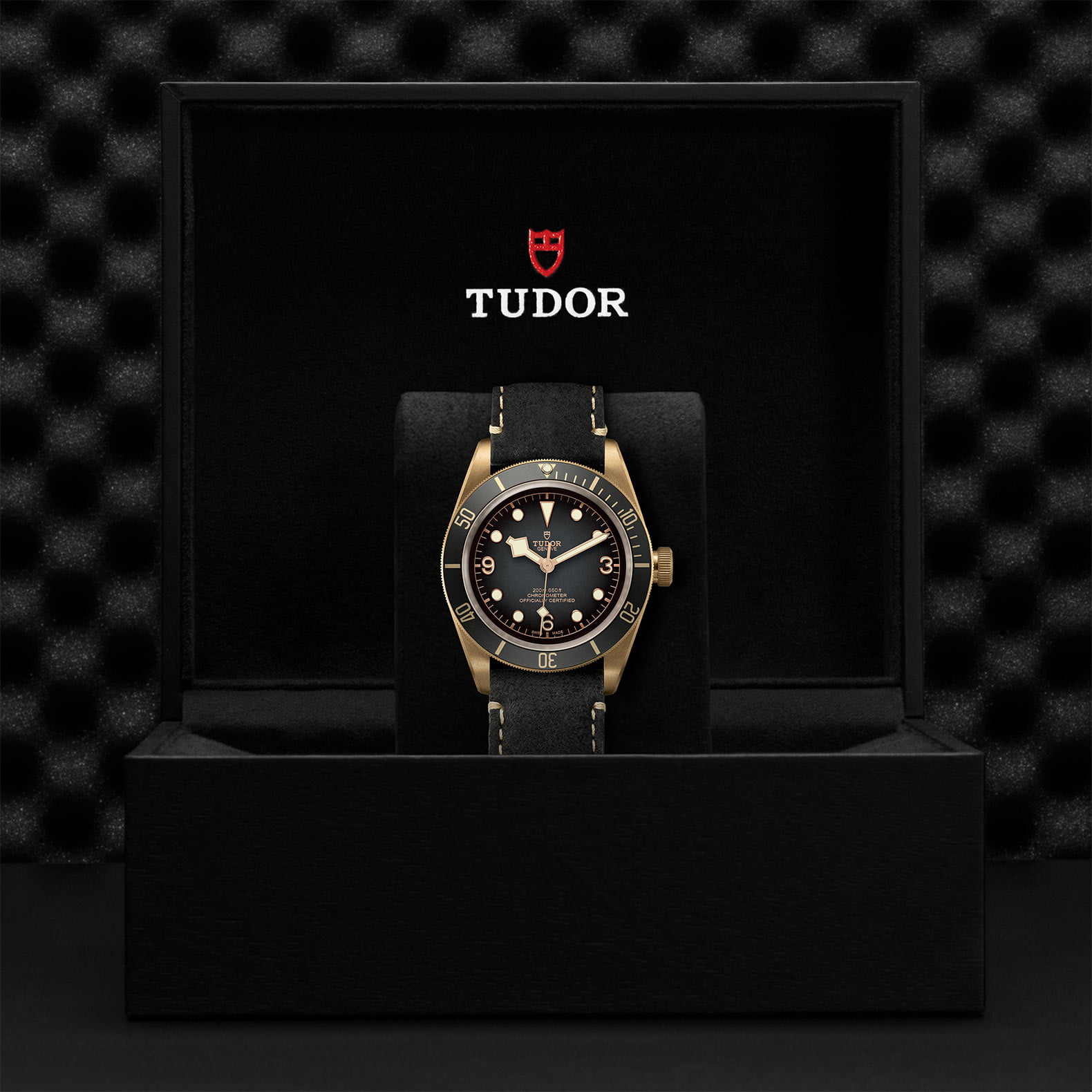 M79250Ba 0001 Tudor Watch Carousel 4 4 10 2023 1