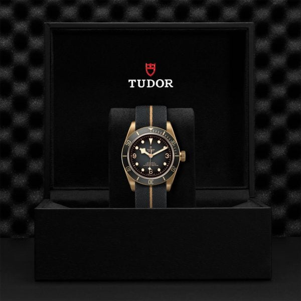 M79250BA 0002 tudor watch carousel 4 4 10 2023 1