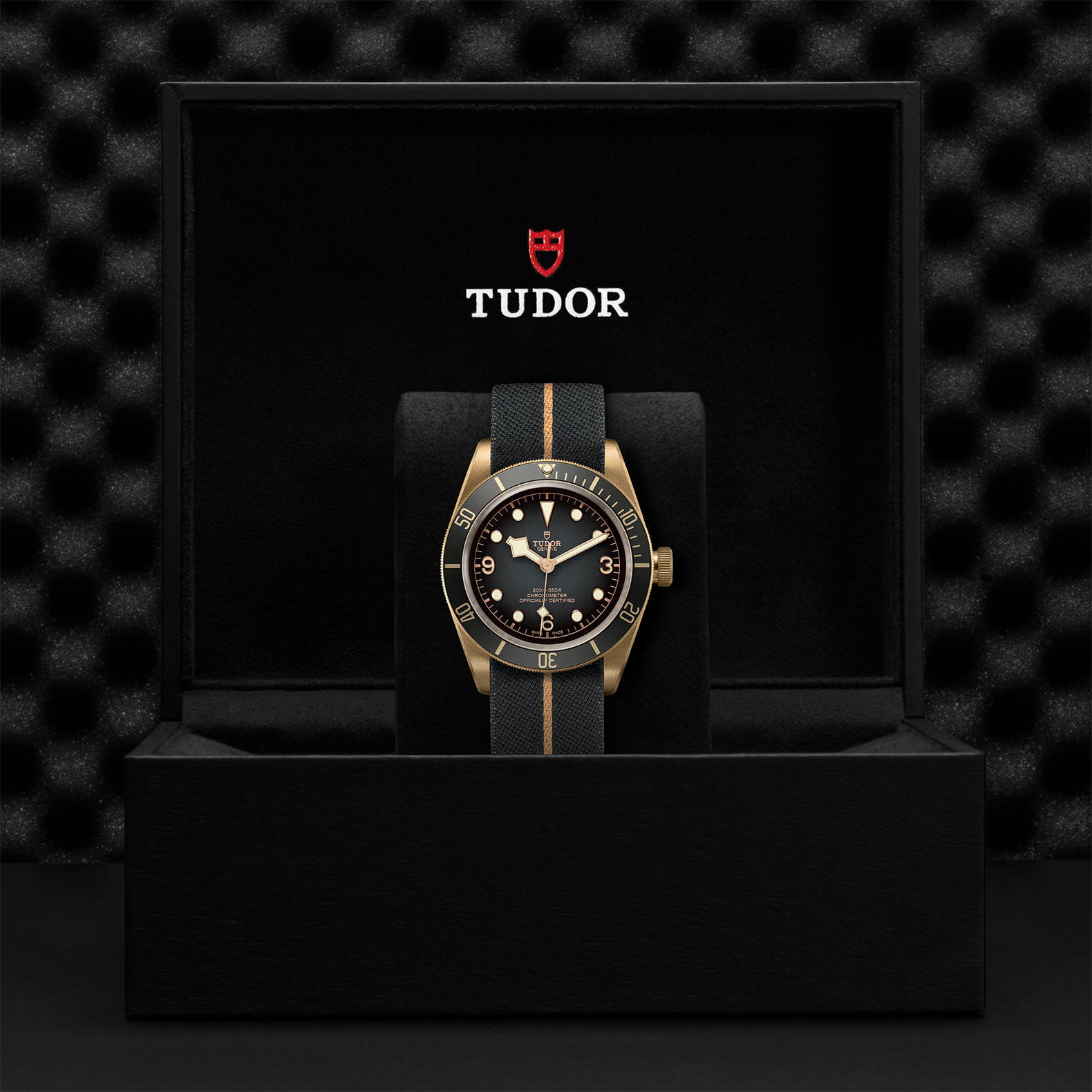 M79250Ba 0002 Tudor Watch Carousel 4 4 10 2023 1