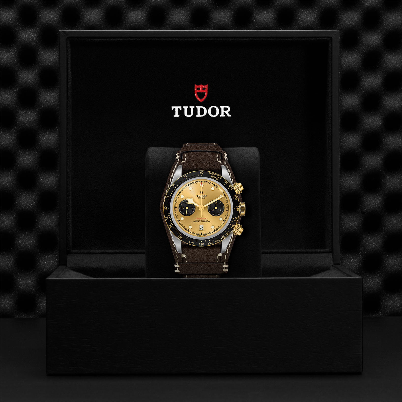 M79363N 0008 Tudor Watch Carousel 4 4 10 2023 1