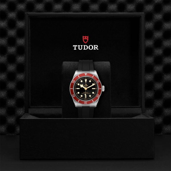 M7941A1A0RU 0002 tudor watch carousel 4 4 10 2023 1