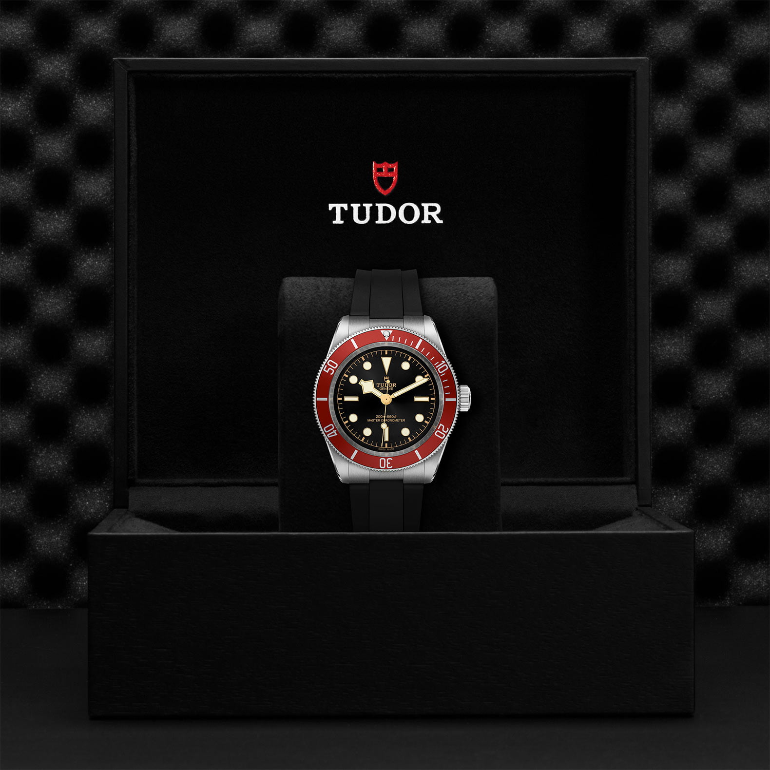 M7941A1A0Ru 0002 Tudor Watch Carousel 4 4 10 2023 1