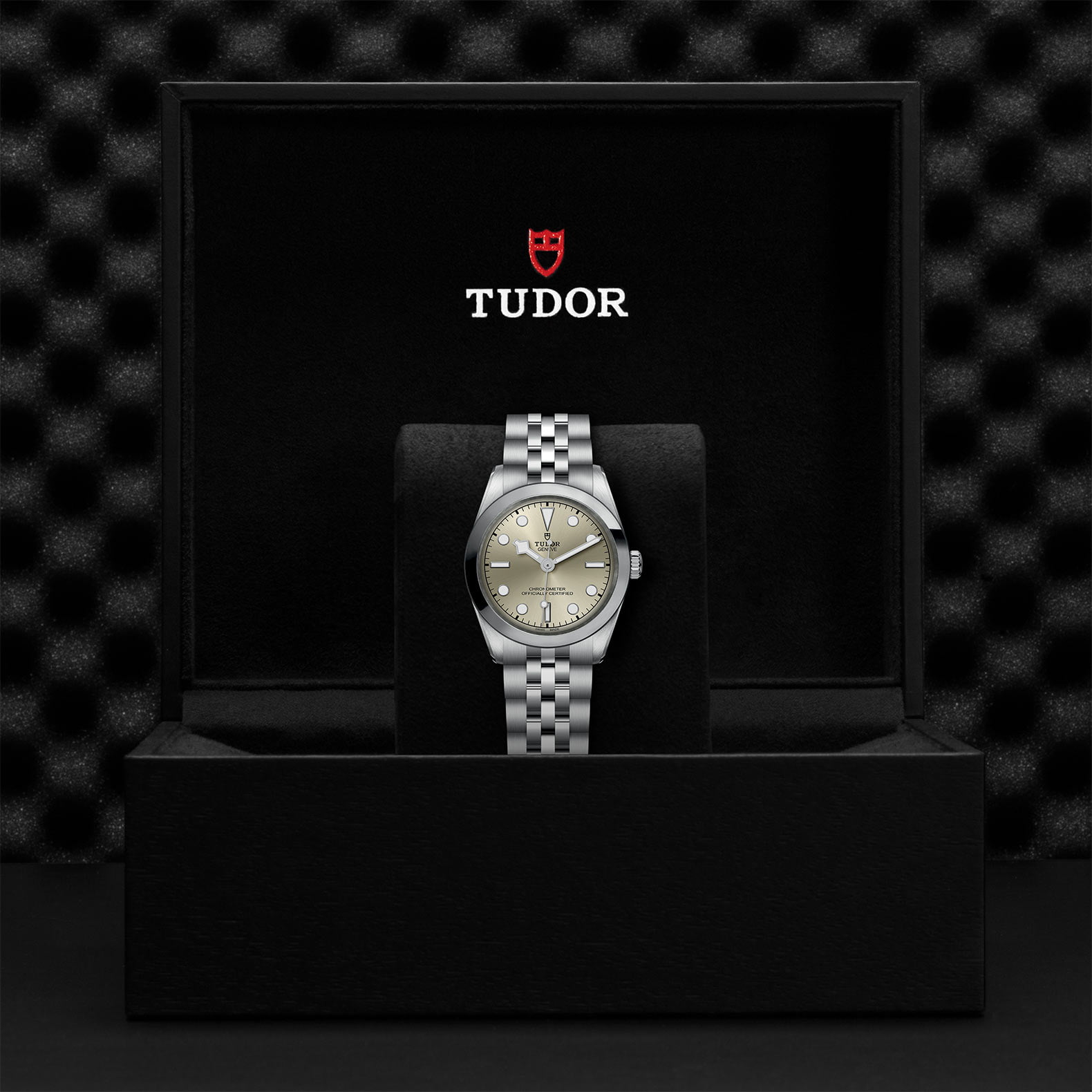 M79600 0003 Tudor Watch Carousel 4 4 10 2023 1