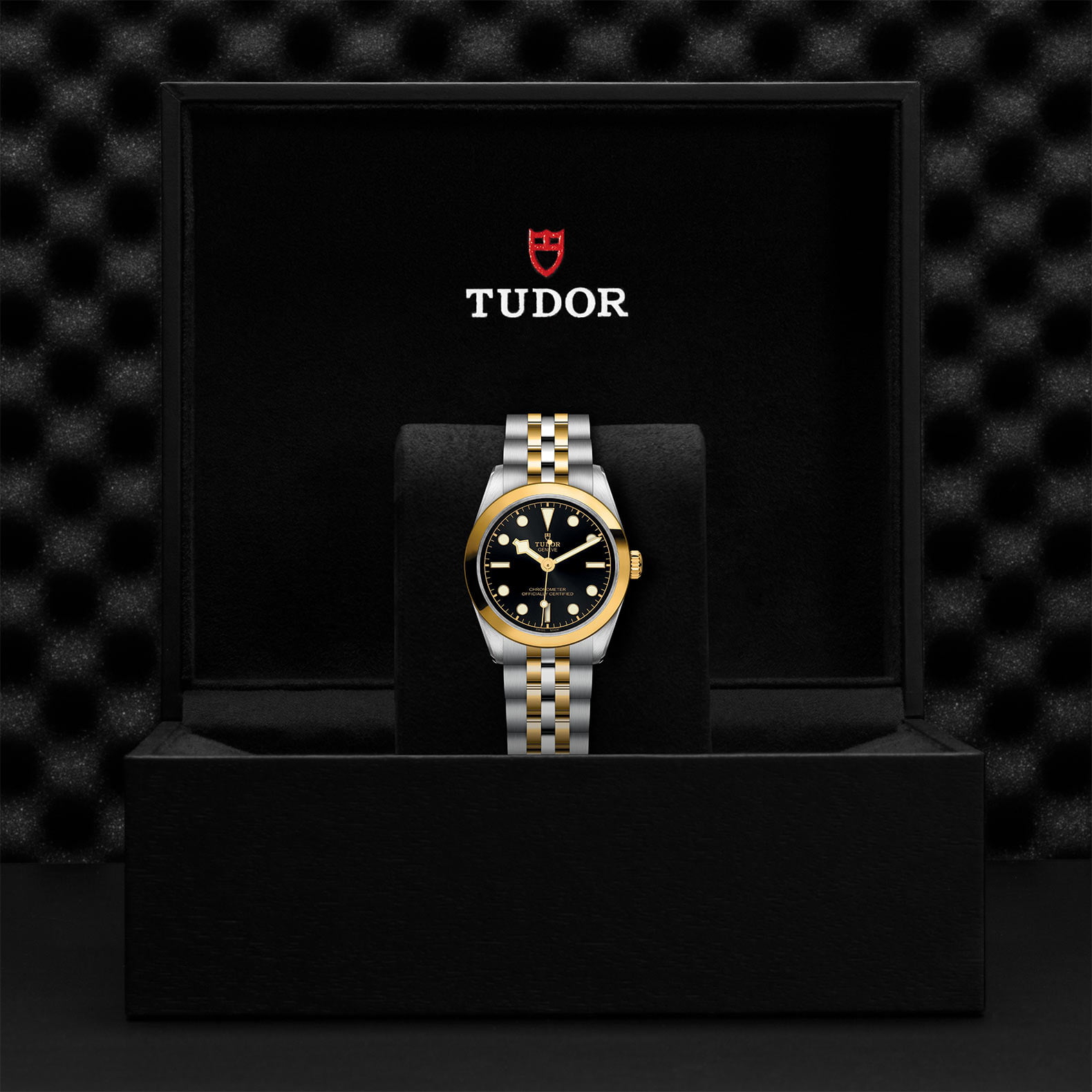 M79603 0001 Tudor Watch Carousel 4 4 10 2023 1