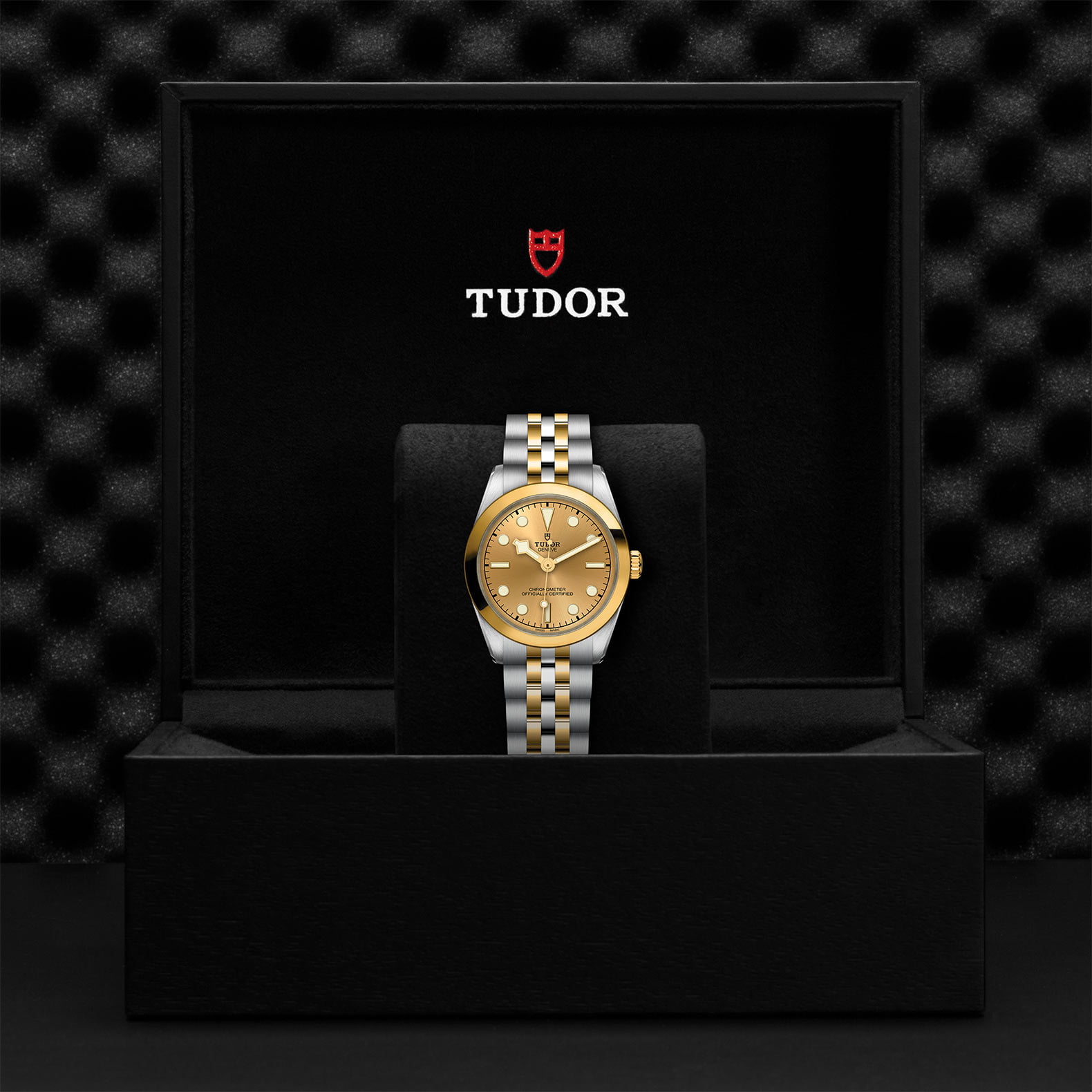 M79603 0005 Tudor Watch Carousel 4 4 10 2023 1