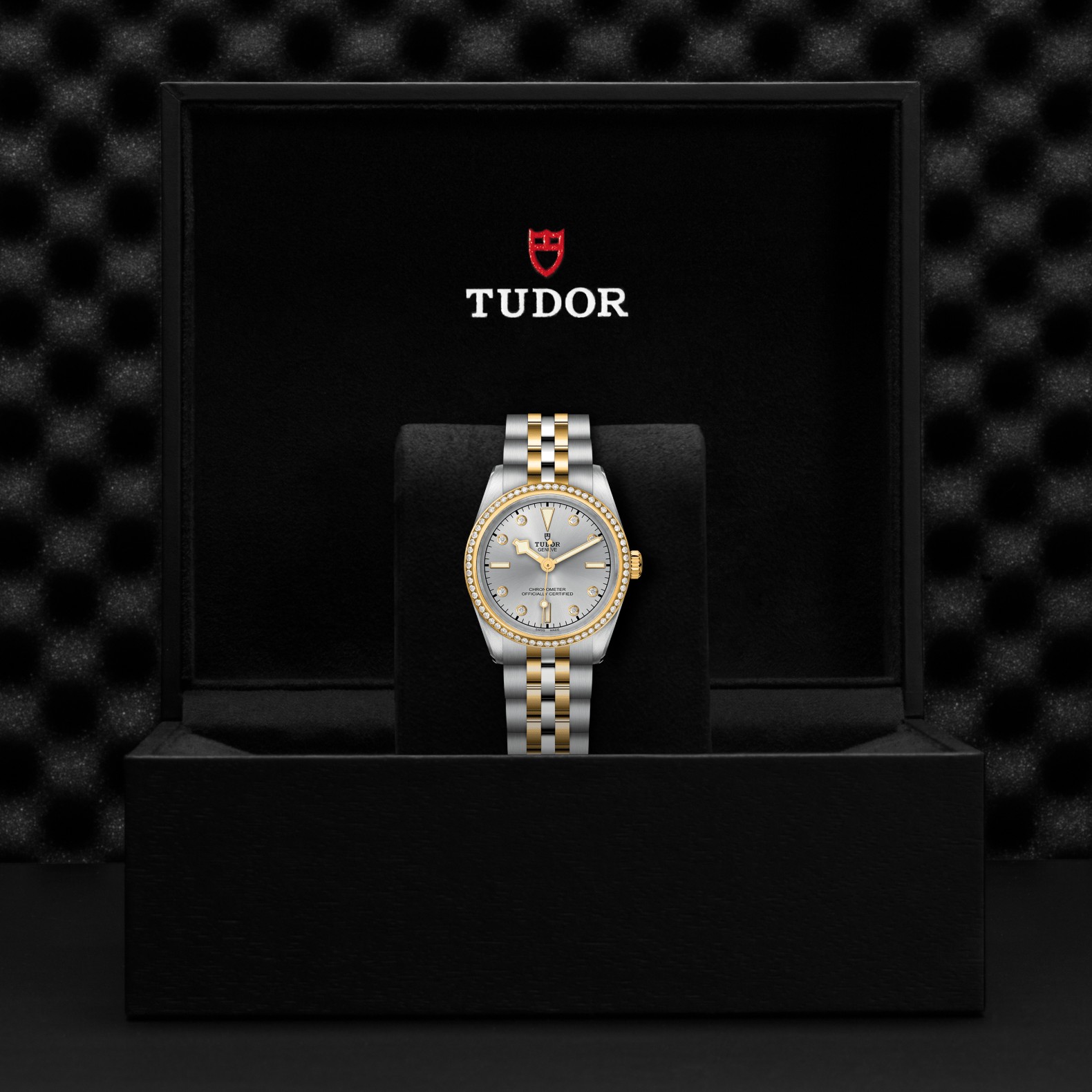 TUDOR Black Bay 31 S&G M79613-0006 - Image 4