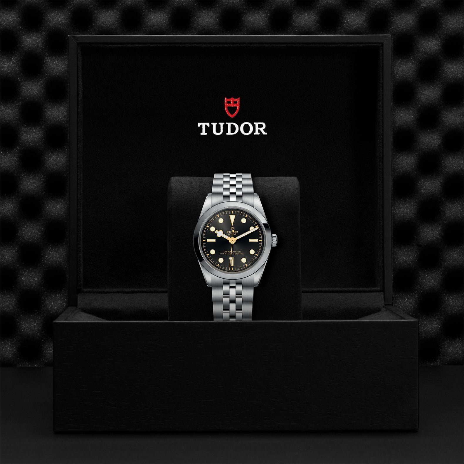 M79640 0001 Tudor Watch Carousel 4 4 10 2023 1