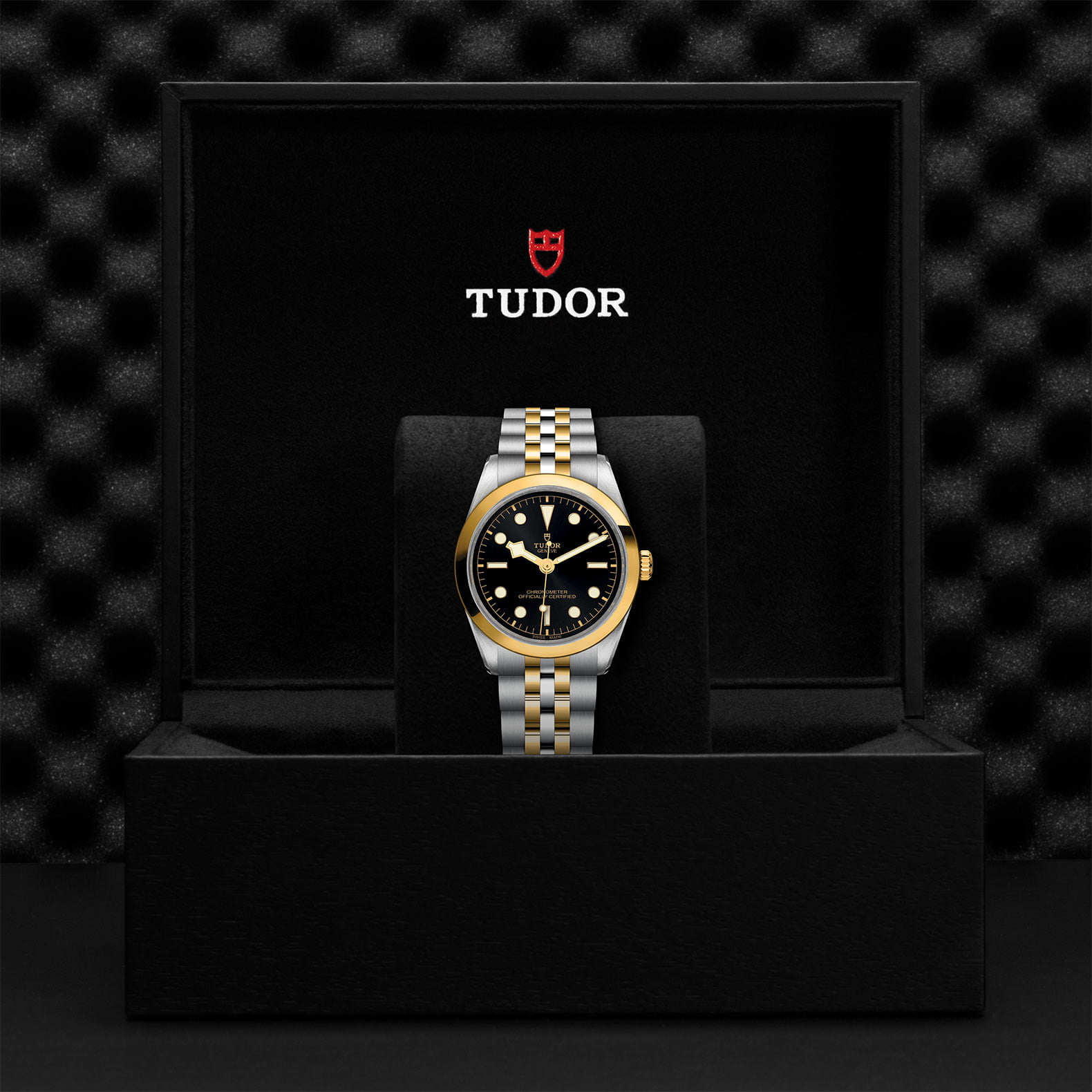 M79643 0001 Tudor Watch Carousel 4 4 10 2023 1