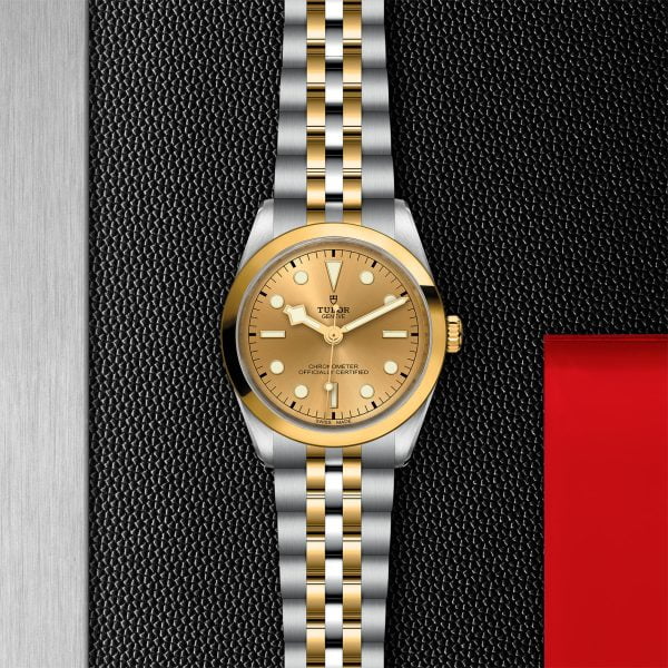 M79643 0005 tudor watch carousel 2 4 10 2023 1