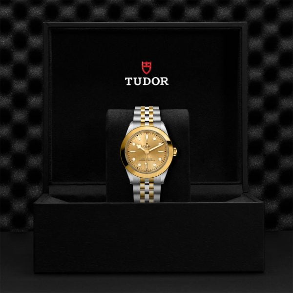 M79663 0005 tudor watch carousel 4 4 10 2023 1