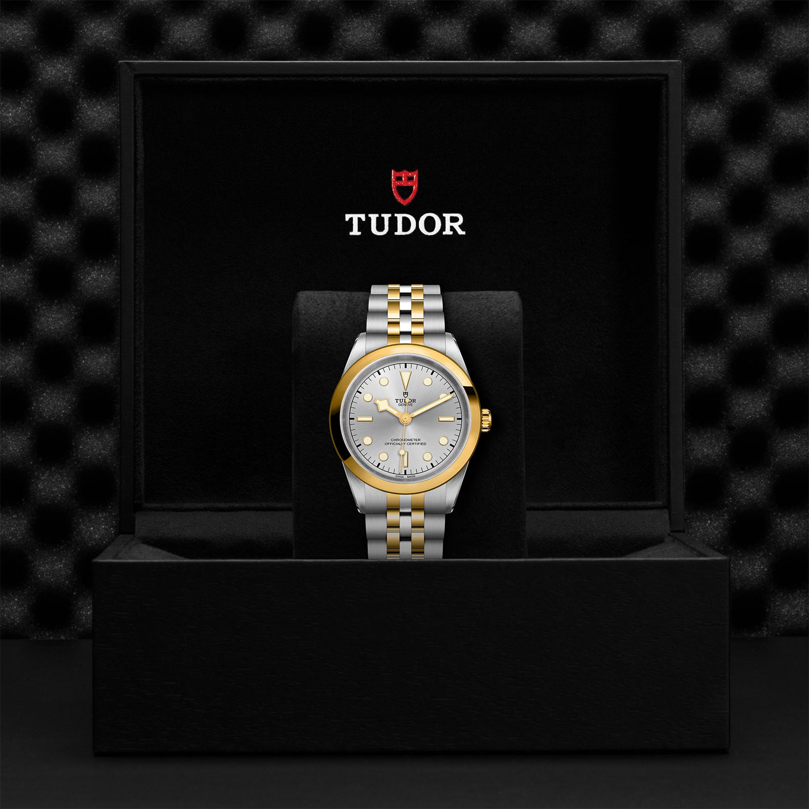 M79683 0002 Tudor Watch Carousel 4 4 10 2023 1