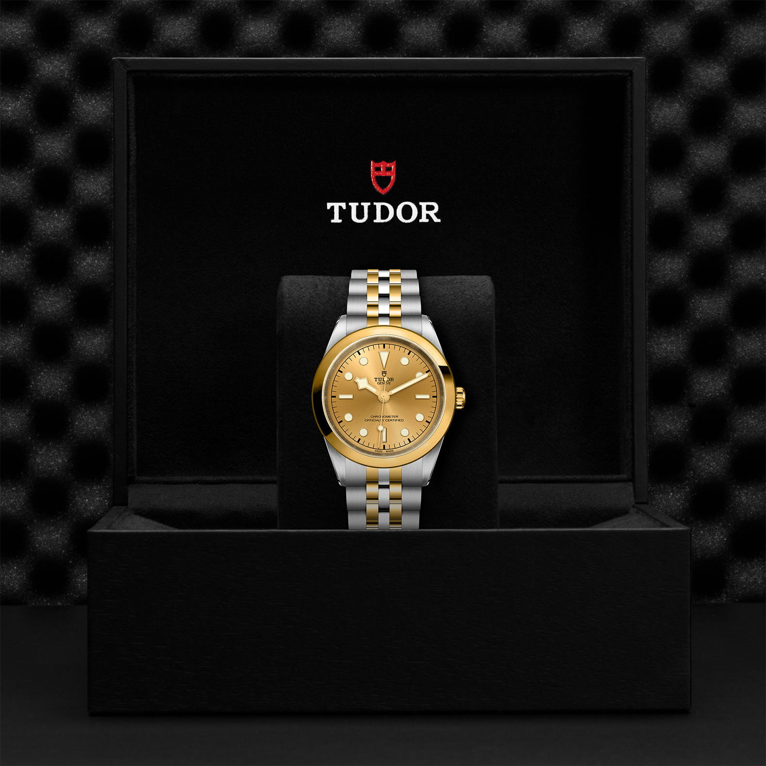 M79683 0005 Tudor Watch Carousel 4 4 10 2023 1