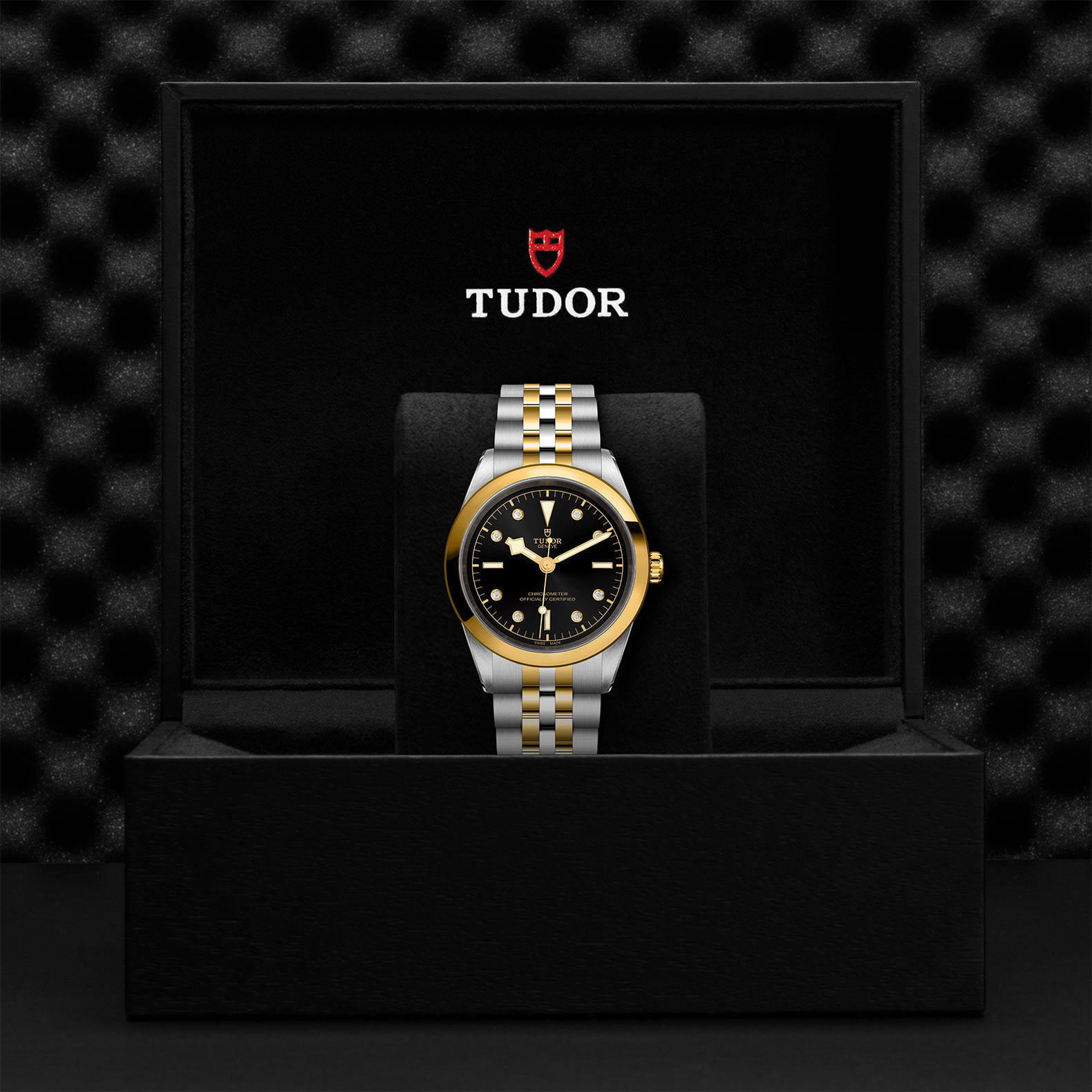 M79683 0006 Tudor Watch Carousel 4 4 10 2023 1