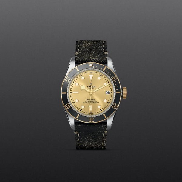 M79733N 0003 tudor watch carousel 1 4 10 2023 1