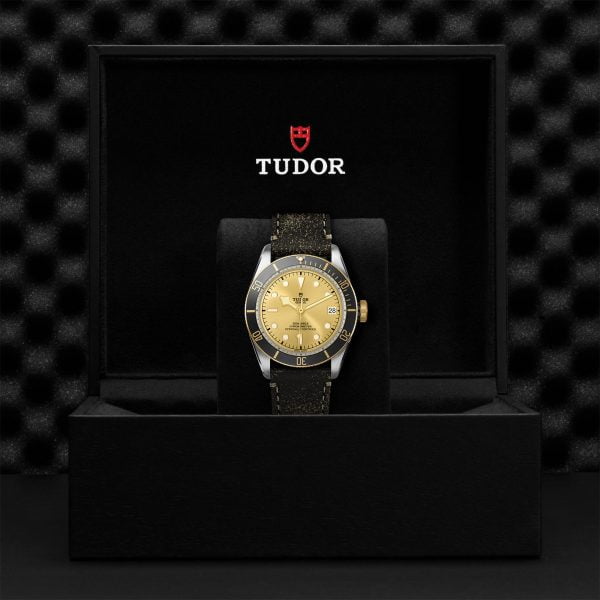 M79733N 0003 tudor watch carousel 4 4 10 2023 1