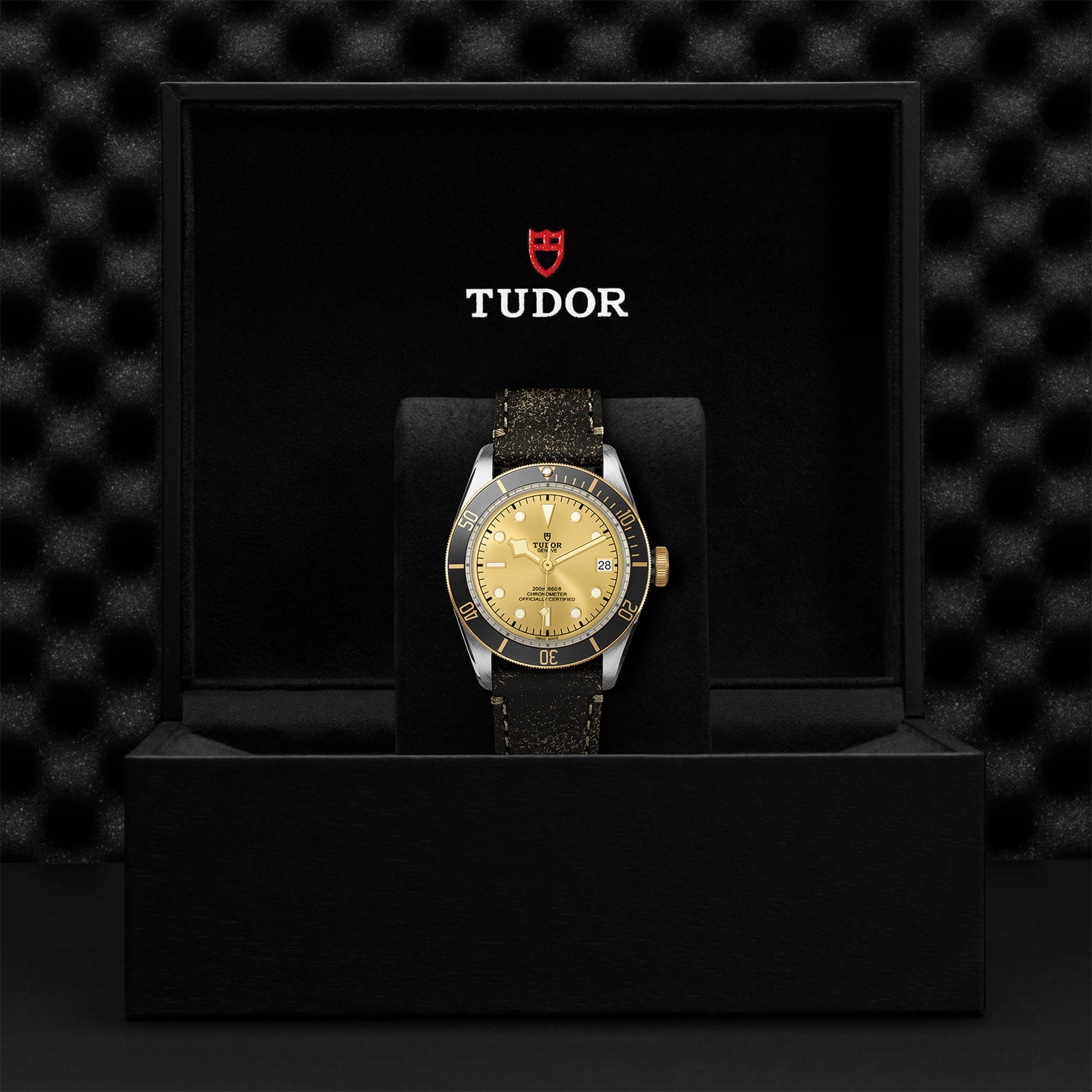 M79733N 0003 Tudor Watch Carousel 4 4 10 2023 1