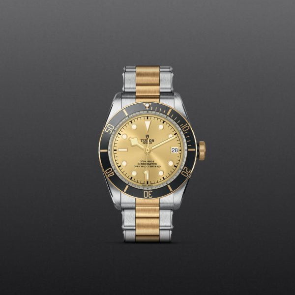 M79733N 0004 tudor watch carousel 1 4 10 2023 1