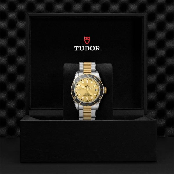 M79733N 0004 tudor watch carousel 4 4 10 2023 1