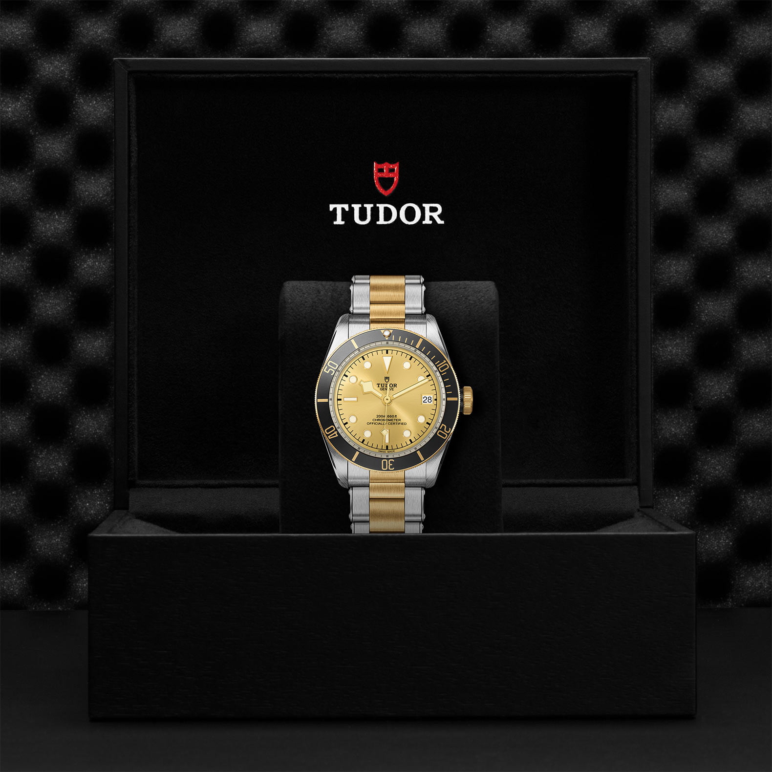 M79733N 0004 Tudor Watch Carousel 4 4 10 2023 1
