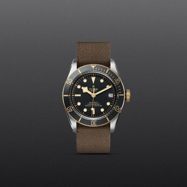 M79733N 0005 tudor watch carousel 1 4 10 2023 1