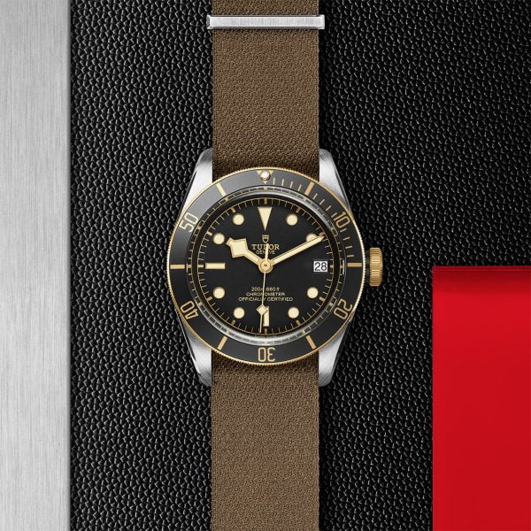 M79733N 0005 tudor watch carousel 2 4 10 2023 1