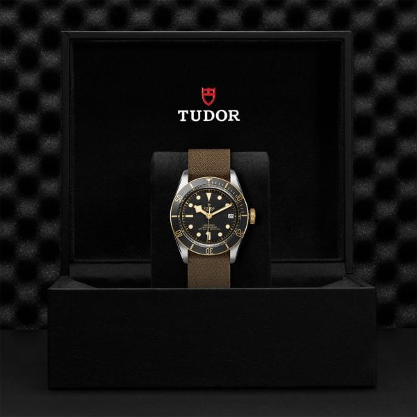 M79733N 0005 tudor watch carousel 4 4 10 2023 1