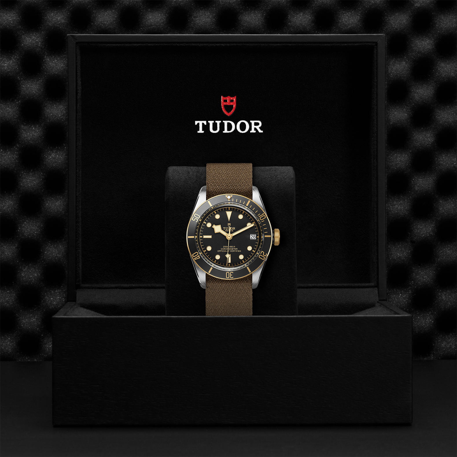 M79733N 0005 Tudor Watch Carousel 4 4 10 2023 1
