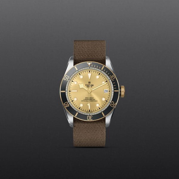 M79733N 0006 tudor watch carousel 1 4 10 2023 1